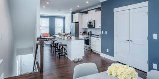 Reve Noda Junction Gallery 3