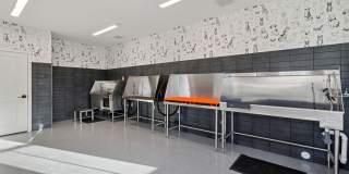 Hamlet Watkins Centre Gallery 40