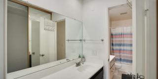 833 Cinnamon Gallery 23