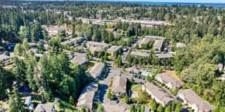 Brookside Village Gallery 25