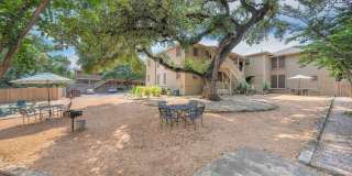 Bouldin Creek Gallery 45