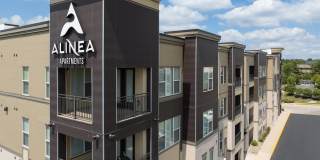 Alinea at Town and Country Gallery 11