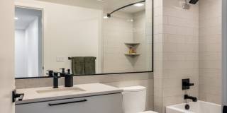 The Ayer The Ayer Gallery 81