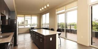 The Elysian Gallery 45