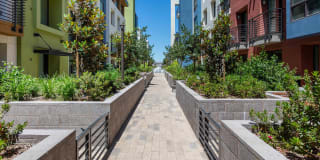 Vista 99 Apartments Vista 99 Apartments Gallery 56