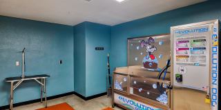 Terraces at Paseo Colorado Gallery 35