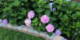 3064 WINTER PINE Court Gallery 6
