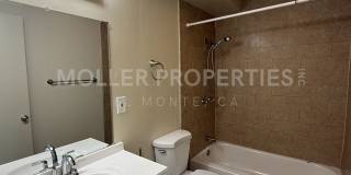 Brockway 11229 Gallery 11