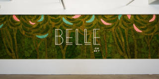 Belle on Bev Belle on Bev Gallery 23