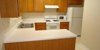 2203 Oak Stream Lane Gallery 6