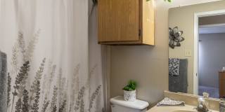 Park at Wells Branch Gallery 8