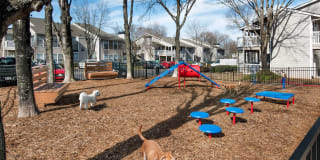 Advenir at Winterset Gallery 20