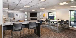 Vairo Village Gallery 29