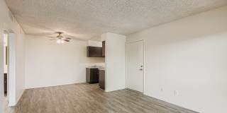 Rise Lakeside Gallery 58