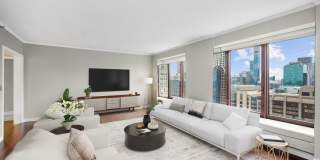 161 E Chicago Avenue unit: 31E Gallery 4