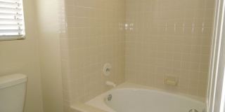 32084 Paseo Parallon Gallery 50