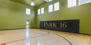 Park 16 Gallery 11