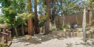 10311 Clusterberry Ct Gallery 37