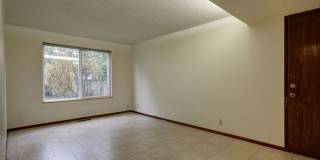 Bright spacious 4-bedroom 2.5 bath home in Bellevue Gallery 8