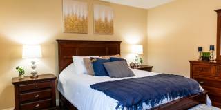 Paugus Woods Gallery 29