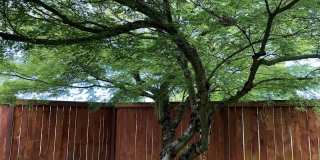 2-Bedroom 1-Bathroom Duplex off Gilham Gallery 15