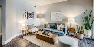 Bloom Apartment Homes Gallery 35
