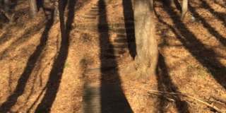 6026 Coltswood Court Gallery 35