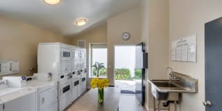 Newport Seacrest Apartments Gallery 24