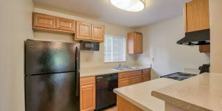 Arbor Square Gallery 28