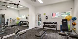 Timberwalk at Mandarin Gallery 7