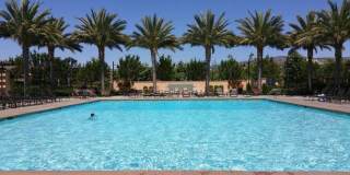 162 Overbrook Gallery 18