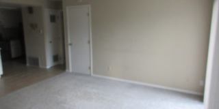 1017 Moorings Drive Gallery 4