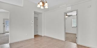 14900 TIM HARDAWAY Gallery 21