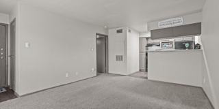 Rock 35 Gallery 37