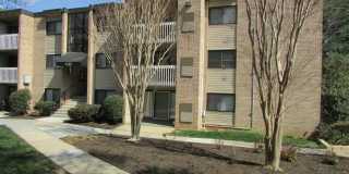 6310 HIL MAR Drive Gallery 2