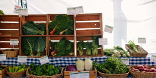 Springwater Crossing Gallery 47