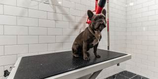 Enclave at Woodcrest Station Gallery 16