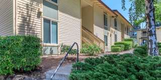 Carrington Gallery 39