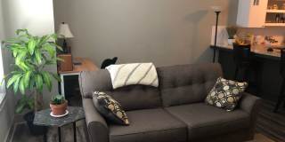 Sycamore Apartments Gallery 10