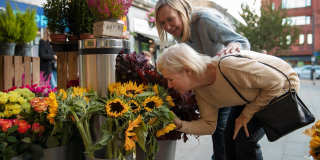 Elan Encinitas Terrace - Senior Housing Gallery 9