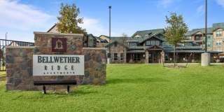 Bellwether Ridge Gallery 25