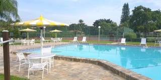55+ ONLY Updated 1 Bed 1 Bath In Meadow Croft In Bradenton!! Gallery 16