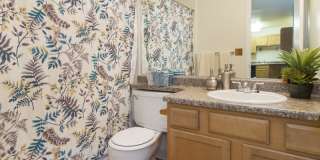 Hyde Park North Gallery 7