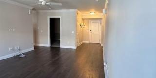 Experience the Heart of It All - at Mayfaire Townview! Gallery 21