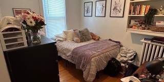 4229 BRANDYWINE Street NW Gallery 15