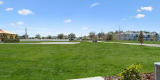 Coral Palms at Oakleaf Gallery 19