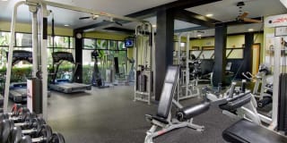 Avalon Studio City Gallery 22