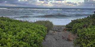 420 Celestial Way unit: 204 Gallery 26