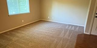 AV16583 Gallery 5