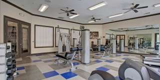 Broadleaf Apartments Gallery 17